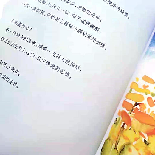 钟书阁 星星落在灌木丛里  安武林文集 统编教材 曹文轩 倾情推荐中国儿童文学 小学生7-8-9-10-11-12岁推荐书籍 商品图2