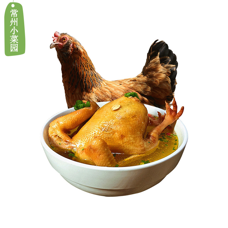 灵芝菊花鸡老母鸡 400多天 每周三发货 百鸟朝凤