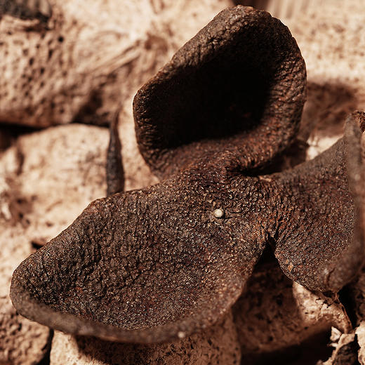 收藏级 | 15年珍稀新会陈皮 商品图4