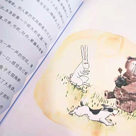 【钟书阁】正版 安武林文集 老巫婆和她的徒弟 统编教材推荐阅读 曹文轩 倾情推荐 上海大学出版社 商品图1