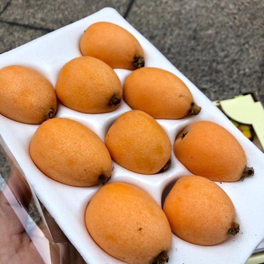 【特级】四川米易县产长丸大枇杷