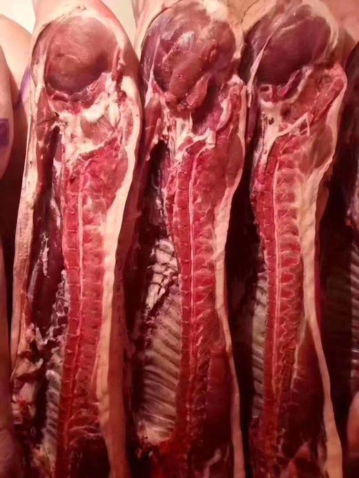 旗舰店 大红门 白条类100kg 商品图2