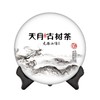 【天月古树茶】2017年龙腾山涌古树普洱茶生饼【性价比之冠】【连续4年销售榜名列前茅】 380g 商品缩略图0