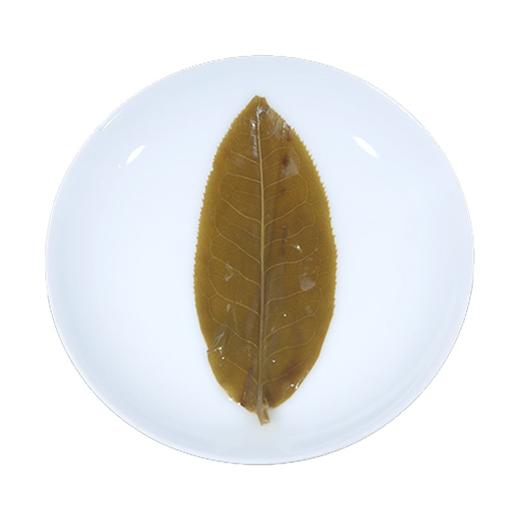 【天月古树茶】2018年名山名寨布朗古树普洱茶生饼 357g 商品图3