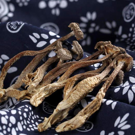 巴山鹿茸菌70g 商品图1