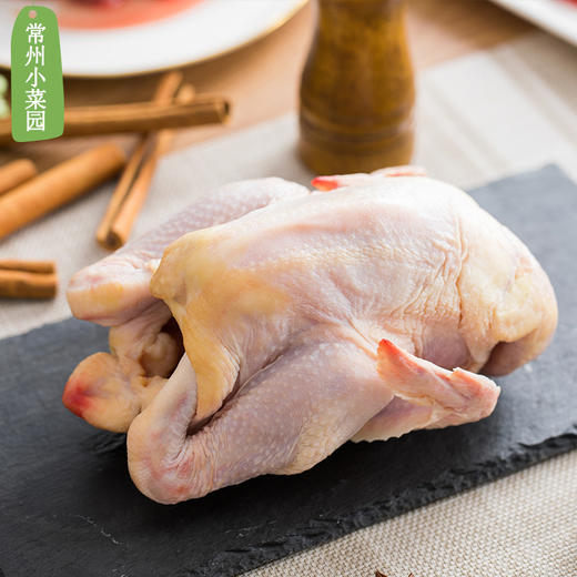 灵芝菊花鸡老母鸡 400多天 每周三发货 百鸟朝凤 商品图2