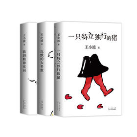 【新经典正版自营】王小波杂文集 2020版（套装3册）