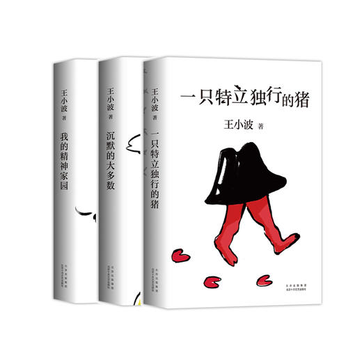 【新经典正版自营】王小波杂文集 2020版（套装3册） 商品图0