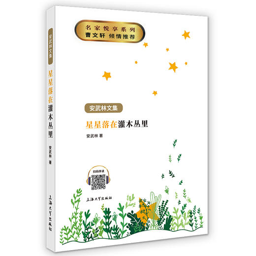 钟书阁 星星落在灌木丛里  安武林文集 统编教材 曹文轩 倾情推荐中国儿童文学 小学生7-8-9-10-11-12岁推荐书籍 商品图3