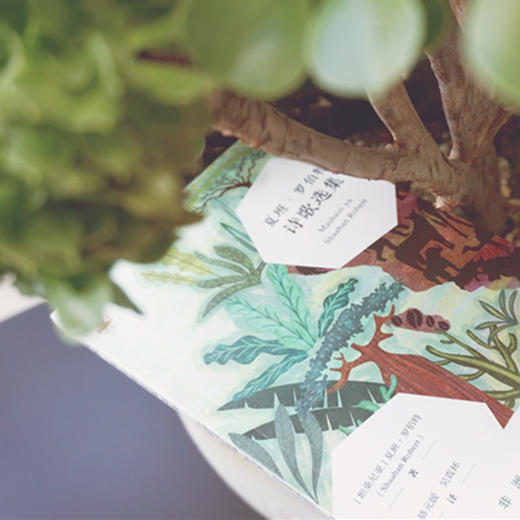 夏班·罗伯特诗歌选集 六点非洲系列 非洲本土语言诗歌 坦桑尼亚斯瓦西里语诗人 外国诗歌 正版 华东师范大学出版社 商品图1