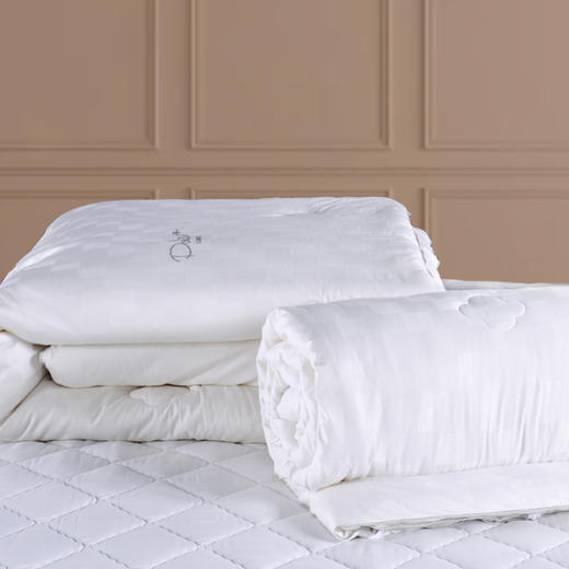 多喜爱 倾颜蚕丝大豆加厚子母被 cs 商品图4