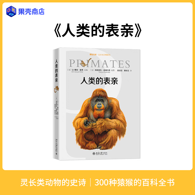 正版图书人类的表亲灵长类动物猩猩猿猴精美插画百科全书