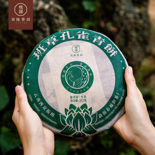 双陈2020年【班章孔雀青饼】生茶1套(357克/片  7片/套) 商品图2