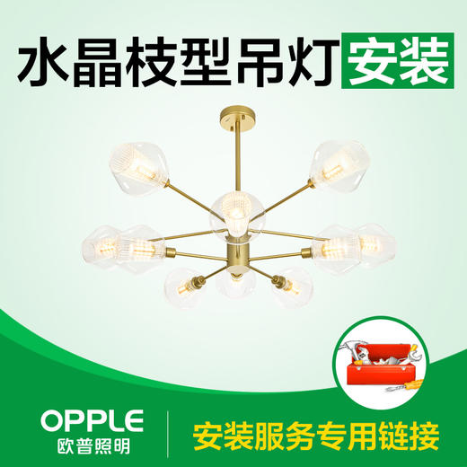 【安装服务】水晶枝型吊灯 不同大小选择 商品图0