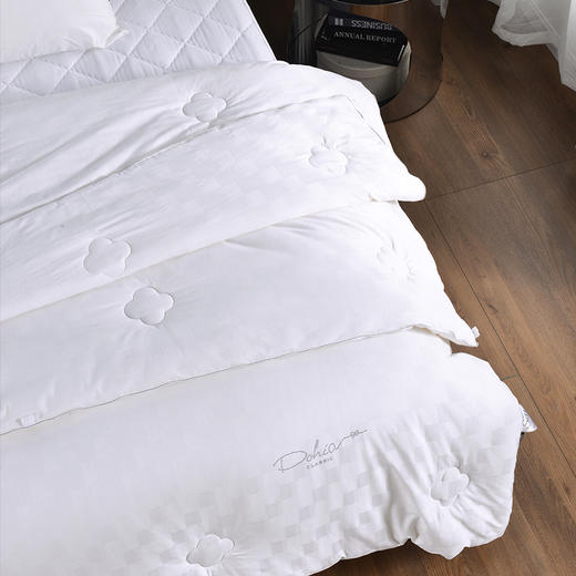 多喜爱 倾颜蚕丝大豆加厚子母被 cs 商品图2