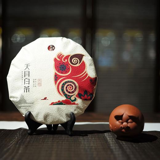【天月白茶】2018年亥猪福鼎白茶贡眉饼茶 300g 商品图1
