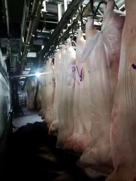 旗舰店 大红门 白条类100kg 商品图1