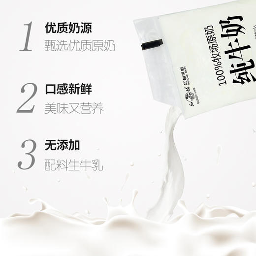 红梅乳业 纯牛奶180ml/袋  16袋/箱 商品图4