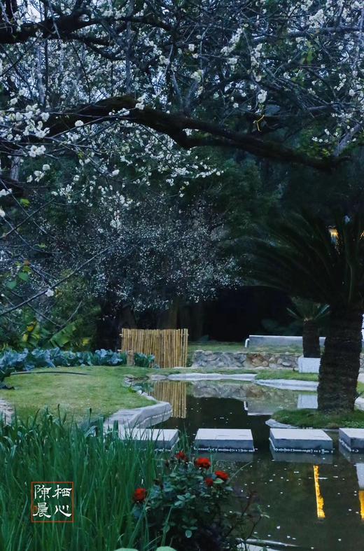 永泰·文埕湾栖心民宿【春节可用】开车不到1h，赏梅，夜观星河，享受趣味农家乐~ 商品图2