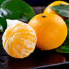 【甜蜜爆汁】福建甜心桔柚 3/5斤新鲜水果黄金西柚柑橘当季非葡萄柚黄肉蜜柚子 商品缩略图4