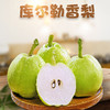 【码帮直采 济南仓直发】正宗新疆库尔勒香梨 皮薄脆甜品质酥梨 新鲜水果 当季酥脆梨 商品缩略图0