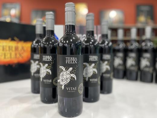 泰勒飞力士酒庄  幸运龟系列 西拉干红葡萄酒 商品图1