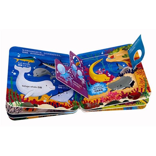 乐乐趣-CDP猜猜这是谁认知翻翻书（3册） 商品图4