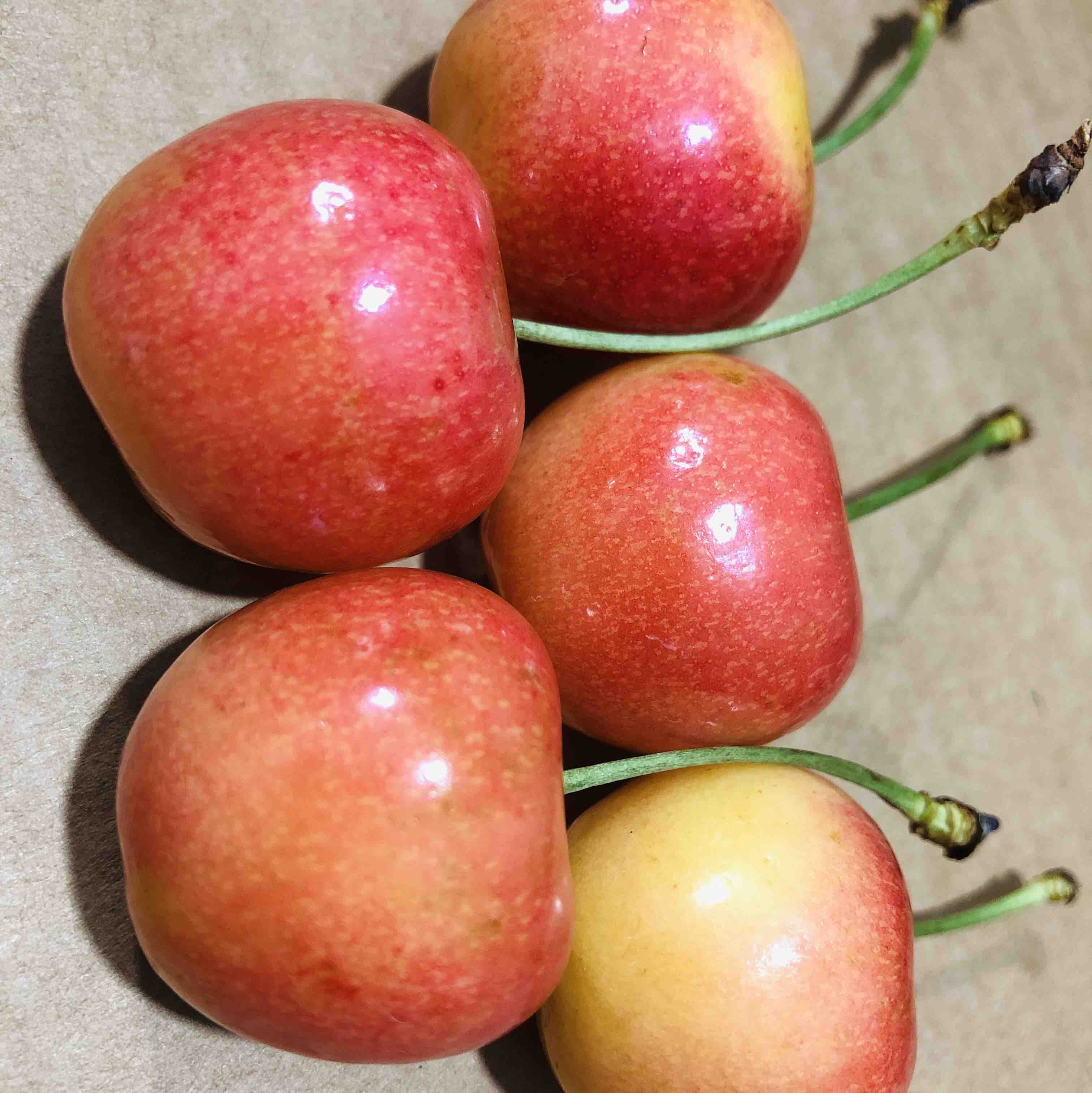 特惠福利🎉xl炸街的特价黄车，口感甜蜜细腻，嘎嘣脆嫩的黄车。买到即赚到，数量有限，不可错过的甜蜜。