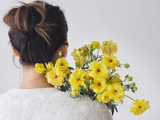 蝴蝶洋牡丹【你若盛开，蝴蝶自来】简小姐精选 稀有新品温柔蝴蝶洋牡丹  下单48小时发货 两件顺丰包邮 商品图8