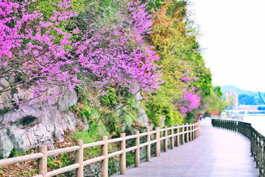 ★隐居神仙居★ ￥598起/2间夜 入住【神仙居景澜青棠酒店】享豪华房+早餐，另有¥469起单晚含神仙居门票套餐可选！打卡超美绿道，入逍遥仙境、赏神山秀水！有效期至2025年9月20日 商品图4