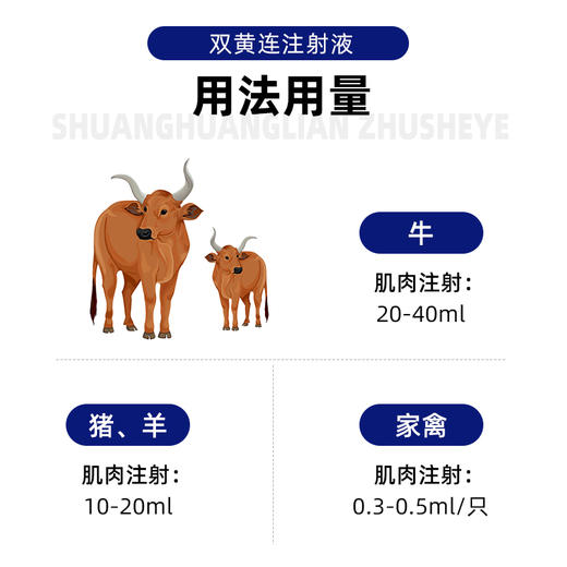 山西科龙 清瘟大败毒 兽用双黄连注射液清热解毒退热风热感冒抗菌抗病毒稀释粉针剂 商品图2