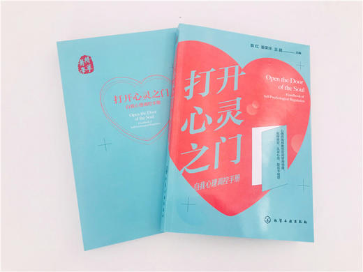打开心灵之门 自我心理调控手册 袁红 姜荣环 王昆 情绪管理控制情绪情绪掌控术 应对焦虑 心理自我调节认知心理学 缓解压力 商品图2