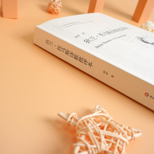 狄兰·托马斯诗歌批评本 诗歌评论 十九首世界诗歌批评本丛书 商品图2