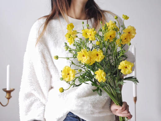 蝴蝶洋牡丹【你若盛开，蝴蝶自来】简小姐精选 稀有新品温柔蝴蝶洋牡丹  下单48小时发货 两件顺丰包邮 商品图2