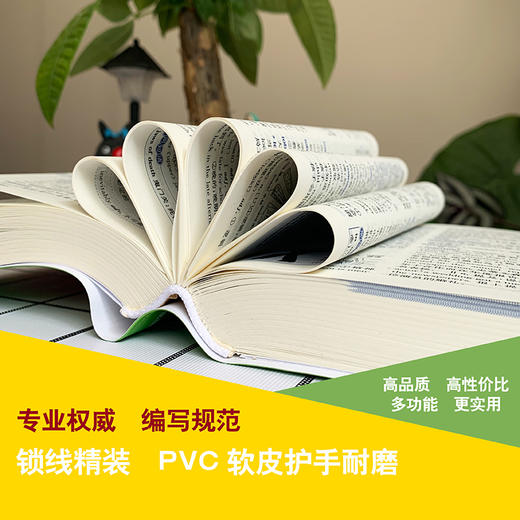 小学生实用新英汉词典2020年新版双色本初高中小学生专用多功能英语词典汉英互译双解工具书唐文辞书汉英文小字典 商品图2