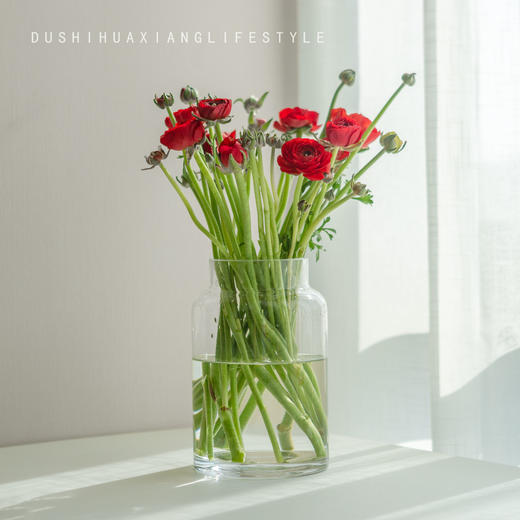 洋牡丹鲜切花 红色 29元 扎 满99元送礼免费配送 都市花乡