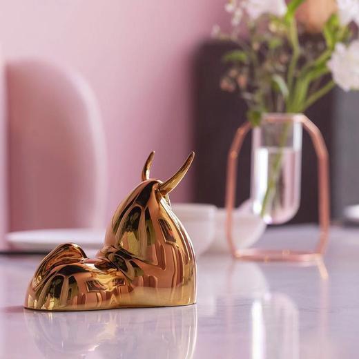 金山-牛 商品图4