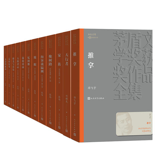 人文社第八届矛盾文学奖作品集 共12册 （你在高原+天行者+推拿） 商品图4