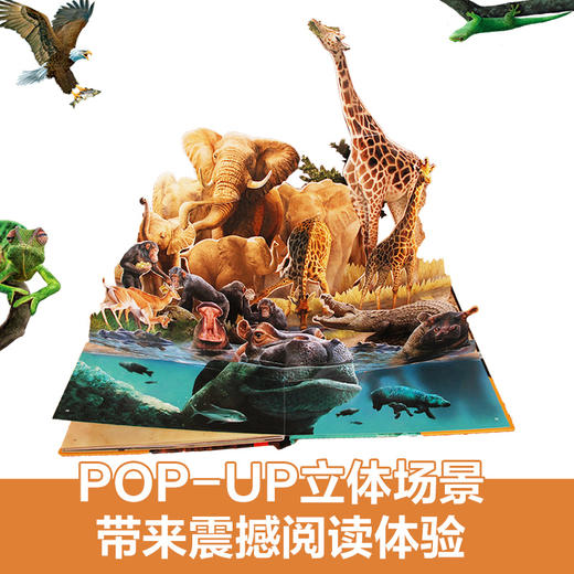 乐乐趣-拉鲁斯儿童立体百科全书-动物之最 商品图4