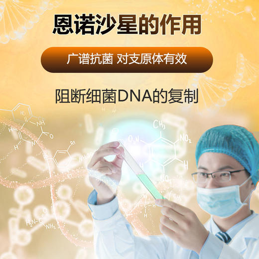 恩诺沙星包被恩味畜禽病毒性细菌性呼吸道特效畜禽药猪药禽药100g/500g 商品图4