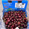 【智利车厘子 上海仓发货】智利进口车厘子 桑缇娜原箱礼盒  特大进口樱桃 商品缩略图4