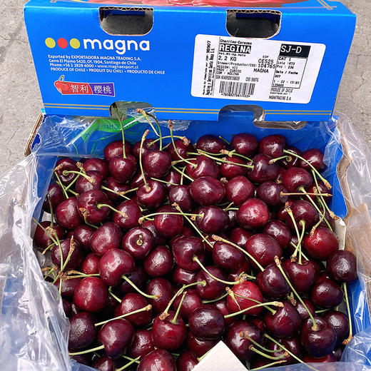 【智利车厘子 上海仓发货】智利进口车厘子 桑缇娜原箱礼盒  特大进口樱桃 商品图4