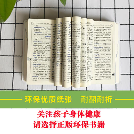 小学生实用新英汉词典2020年新版双色本初高中小学生专用多功能英语词典汉英互译双解工具书唐文辞书汉英文小字典 商品图1