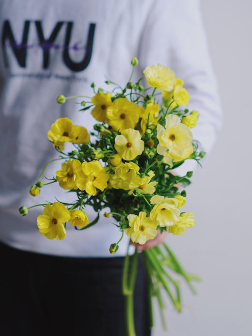 蝴蝶洋牡丹【你若盛开，蝴蝶自来】简小姐精选 稀有新品温柔蝴蝶洋牡丹  下单48小时发货 两件顺丰包邮 商品图10