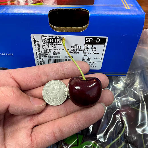 【智利车厘子 上海仓发货】智利进口车厘子 桑缇娜原箱礼盒  特大进口樱桃 商品图3