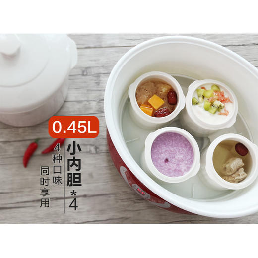 天际(TONZE)电炖锅隔水炖 煮粥炖汤全自动1锅5胆DGD40-40DWG 4L 商品图4