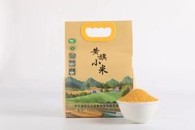 黄旗小米（3号米）