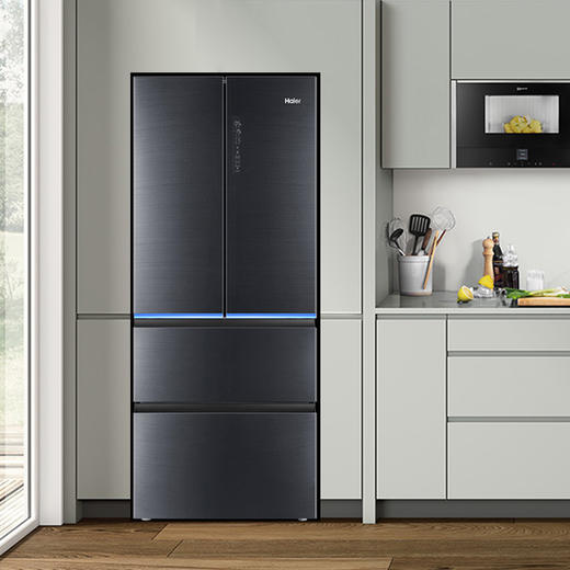 海尔（Haier）冰箱BCD-411WDSKU1 商品图0