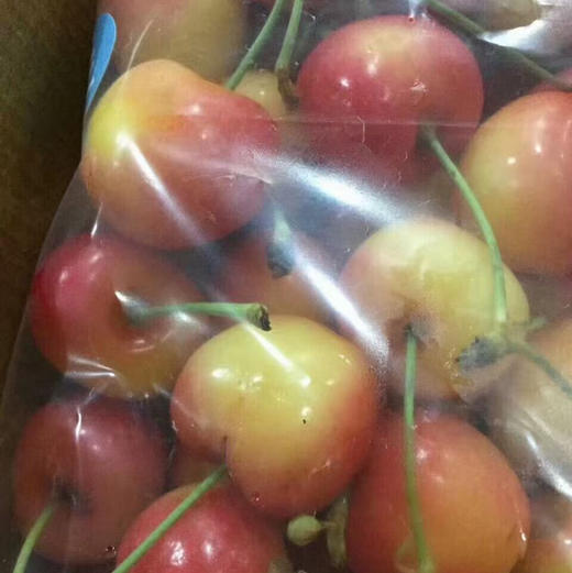 特惠福利🎉xl炸街的特价黄车，口感甜蜜细腻，嘎嘣脆嫩的黄车。买到即赚到，数量有限，不可错过的甜蜜。 商品图5