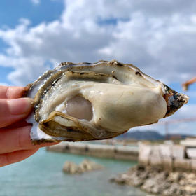 深秋福利重磅来袭